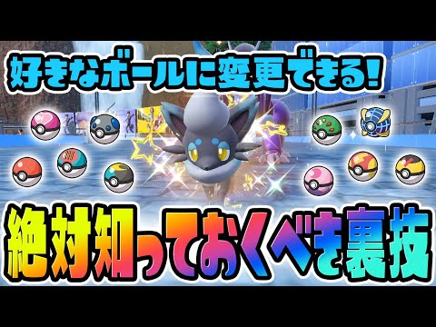 【初解禁】オシャボ色違いヒスイゾロアの簡単な厳選方法を教えます！【ポケットモンスター スカーレット・バイオレット/SV】