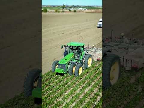 Nothing can beet the feeling of a successful harvest!  #SugarBeet #Harvest #JohnDeere #FeelTheBeet