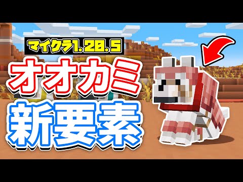 【マイクラ1.20.5】オオカミの首輪・鎧が進化＆アルマジロの目の位置変更・スポーンチャンク縮小など詳しく解説！【マインクラフト】SNAPSHOT 24W03A