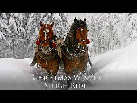 Celtic Christmas Carols, Soft Holiday Christmas Music "Snowy Winter Sleigh Ride" by Tim Janis