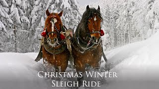 Celtic Christmas Carols, Soft Holiday Christmas Music "Snowy Winter Sleigh Ride" by Tim Janis