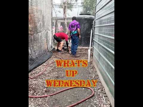 What’s up Wednesday 2/28/24