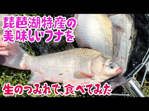 琵琶湖特産の美味しいフナを生のつみれで食べてみた