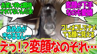 シャフリヤールの変顔…に対するみんなの反応！【競馬 の反応集】