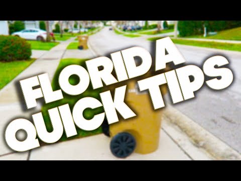 ORLANDO & FLORIDA - QUICK TIPS - DUSTBINS