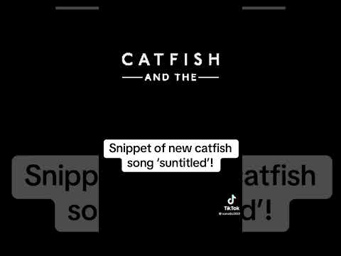 Suntitled - Catfish and the Bottlemen (Unreleased Song) #catb