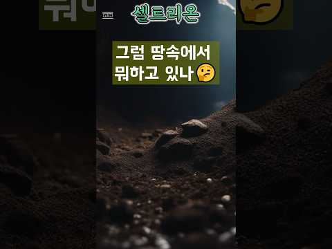 2024/2/22, 셀트리온에 대한 weekly입니다.