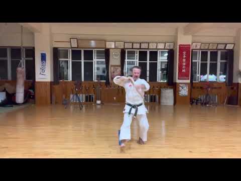 Sakugawa nu Kun Dai segment explained #kobudo #shimbukan #古武道 #okinawa #karate #空手 #信武舘