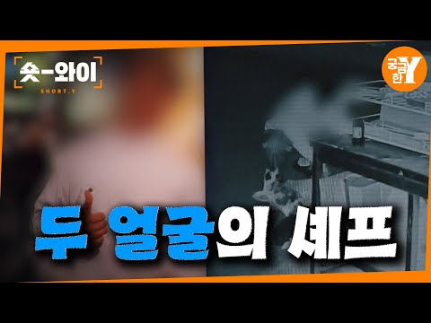 [Y 713회 요약] 설탕 뒤에 숨겨진 잔혹한 길고양이 학대범 | 숏와이