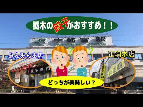 【みんなのらくらくマガジン】栃木の餃子がおすすめ! みんみん本店・正嗣本店 どっちが美味しい!?