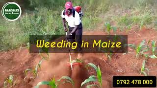 MOTORIZED WEEDING MACHINE -  (KENYA)