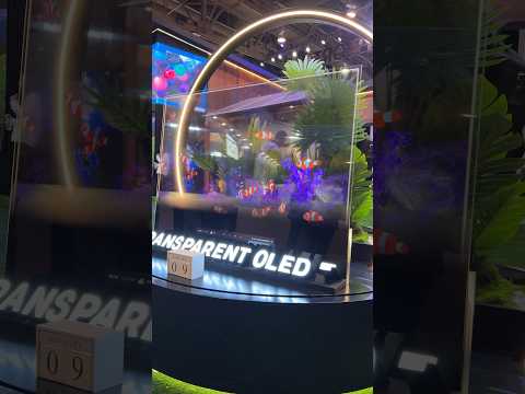 Transparent OLED TV