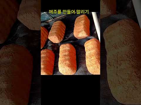 시골집 마당에는~ #힐링#행복#슈키의공방