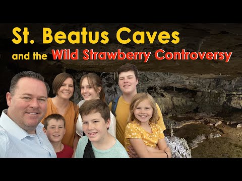 St. Beatus Caves and the Wild Strawberry Controversy