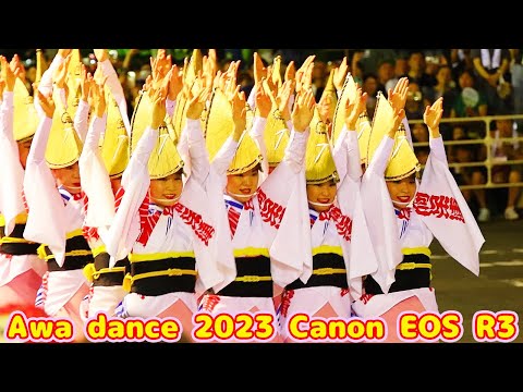 Awa dance 2023 Canon EOS R3 阿波踊り 感動の阿呆連