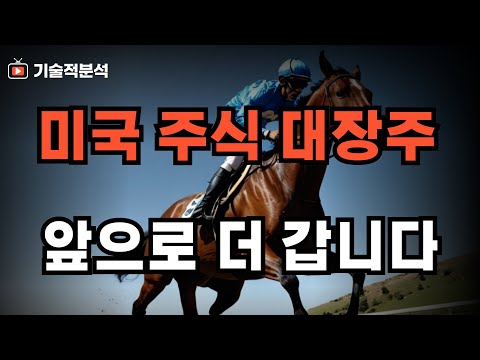 미국 주식 대장주는 계속 오릅니다 SOXL 테슬라 비트코인 향후 전망은?