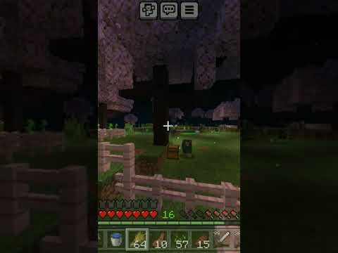 watch my survival series