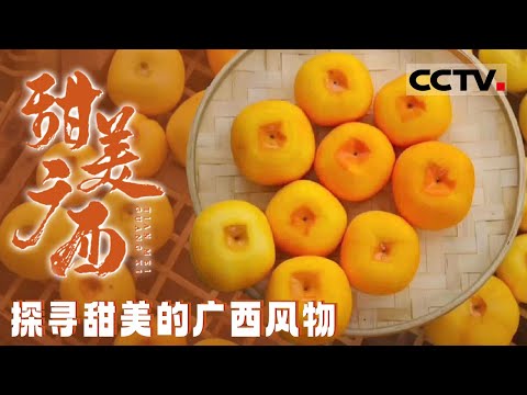 探寻甜美的广西风物 在田野与海洋间追寻自然与美味的传奇！《甜美广西》【CCTV纪录】