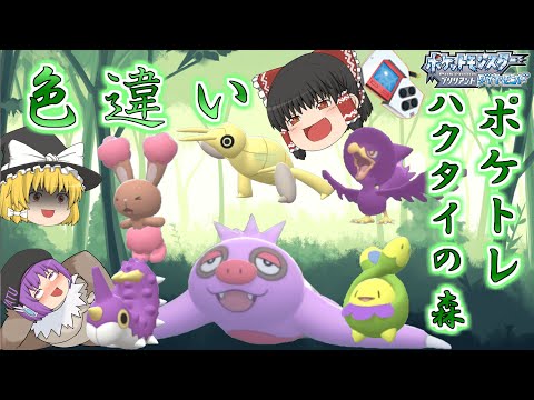 【ポケモンBDSP】ナマケロが大量発生したからついでにハクタイの森の色違いポケトレで全部ゲットしちゃお♡【ゆっくり実況】