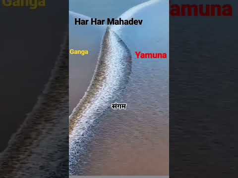 Ganga (♥️sangam) Yamuna #ytshorts #trending #viralvideo #prayagraj #mahakumbh2025