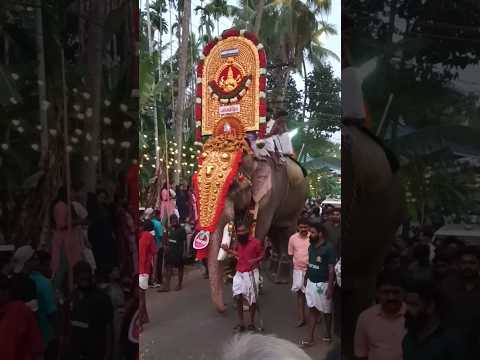 Kavilakkad pooram | Pooram Festival | Kerala Tradition