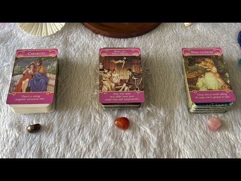 Should you wait or move on?! 👀💕🌷💜🤔🦋☺️ | Pick a Card Tarot Reading | Timeless Reading