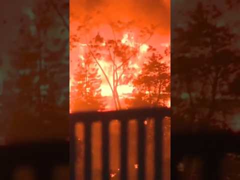 California Wildfires🥹 #losangeles #voiceofamerica #tranding #viralshort #fypyoutube