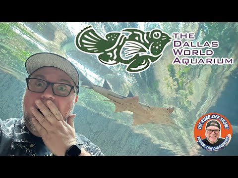 🐟 ROBB ZIPP GOES TO THE DALLAS WORLD AQUARIUM