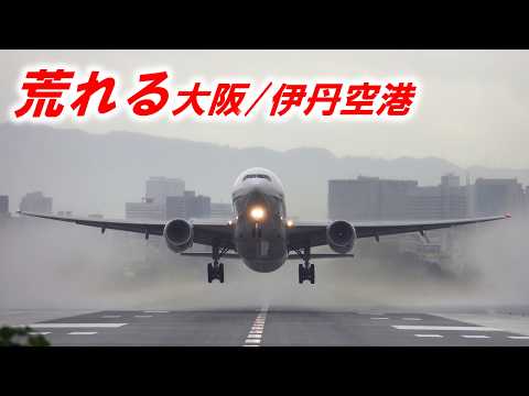 熱帯低気圧で荒れる大阪/伊丹空港で離着陸機を紹介！