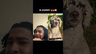 HARDEST DOG LOC JOURNEY EVER 😤 #wavvvy #locjourney #starterlocs