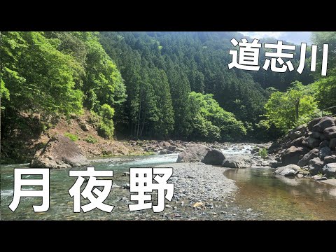 【山梨県】道志の穴場キャンプ場【月夜野キャンプ場】【ソロキャンプ】