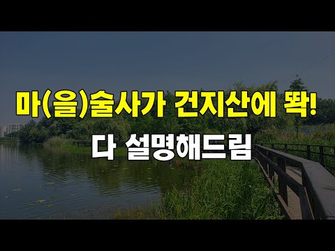 건지산에 마술사가 나타났어요! (Feat. 전주문화재단 마을술사)