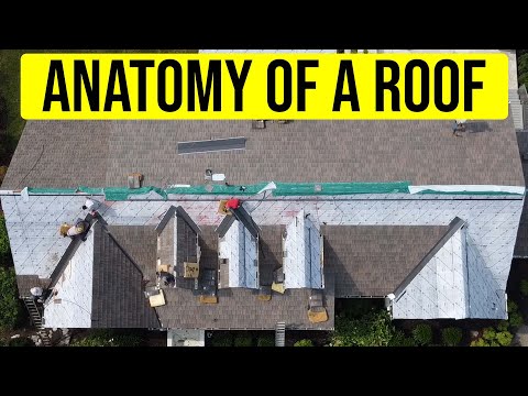 The Anatomy of a Roof System