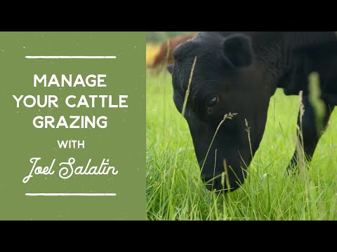 How to Manage Your Cattle Grazing Course with Joel Salatin (Teaser Trailer #3)