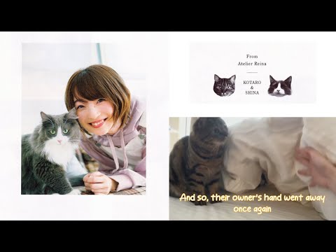 Ueshama's Cat Video Narrated by Ueshama