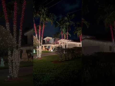 🎄AMAZING HOLIDAY LIGHT DISPLAY — A whole neighborhood!