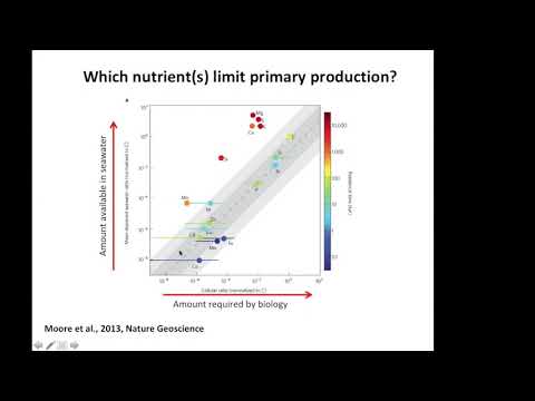 Benguela RGNO: Micro-nutrient cycling in the northern Benguela upwelling system.