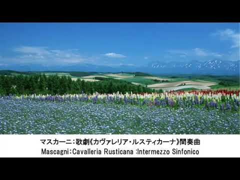 涙が出るほど？美しいクラシック名曲集・Beautiful Classical Music Collection（長時間作業用BGM)