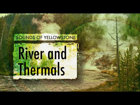 Bridge Near Monument Geyser Basin Trailhead — ASMR, Sleep, Concentration (Sounds of Yellowstone)