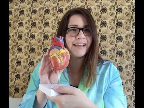 Axis Scientific Heart Model Unboxing and Review