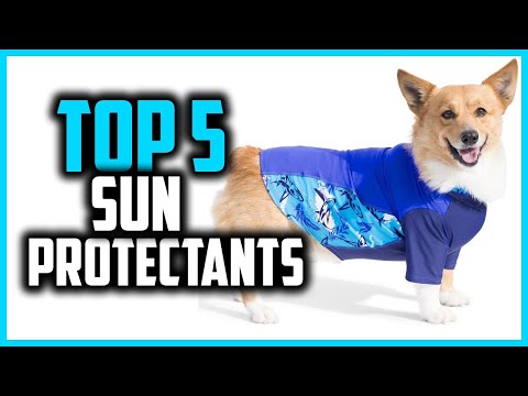 ✅Top 5 Best Sun Protectants in 2025