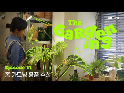 NH식물원 - THE GardeningㅣEP.11 홈 가드닝 용품 추천 👩🏻‍🌾🧑🏻‍🌾🌿