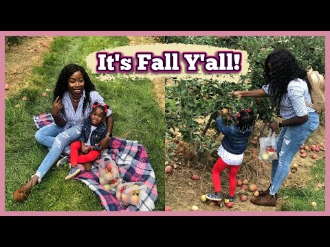 WE WENT APPLE PICKING | FALL FAMILY DAY | DAY IN THE LIFE WITH A TODDLER | FALL VLOG |GRACE SONDE