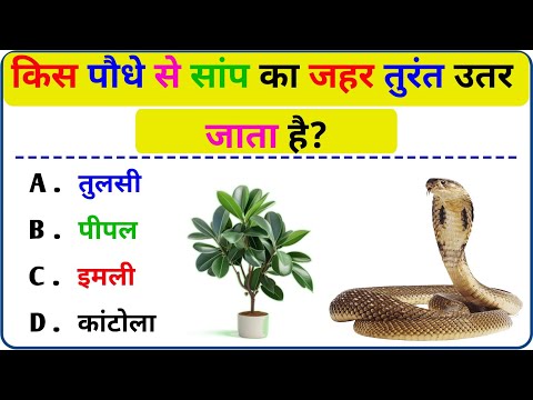 20 खतरनाक सवाल || General Knowledge || Competitive Exams || GK Question in hindi || Gk