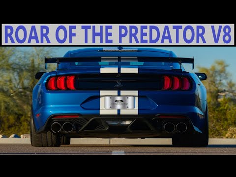 The Raw Sound of the Shelby GT500