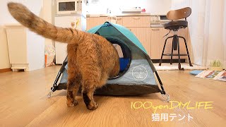 猫とキャンプが出来るテント。一瞬で気に入りましたw【本格的ネコ用テント 】