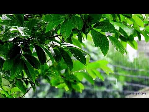 10 Hours Sounds Of Rain And Thunder For Sleep, ASMR - Rain For Relaxing Your Mind And Sleep Tonight