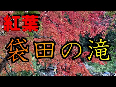 紅葉の袋田の滝🍁日本三名瀑、圧巻の滝に感動❗️【リフ旅茨城県編】