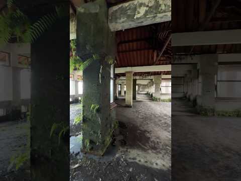 Would you explore this place? Bali’s most haunted hotel, Bedugul 🏨 #travelshorts #abandonedplaces