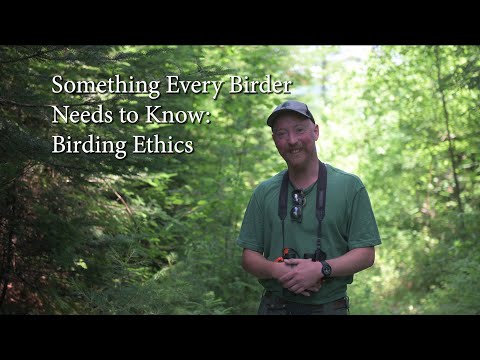 Something Every Birder Needs to Know: Birding Code of Ethics (Pishing, Play Back, and Movement)